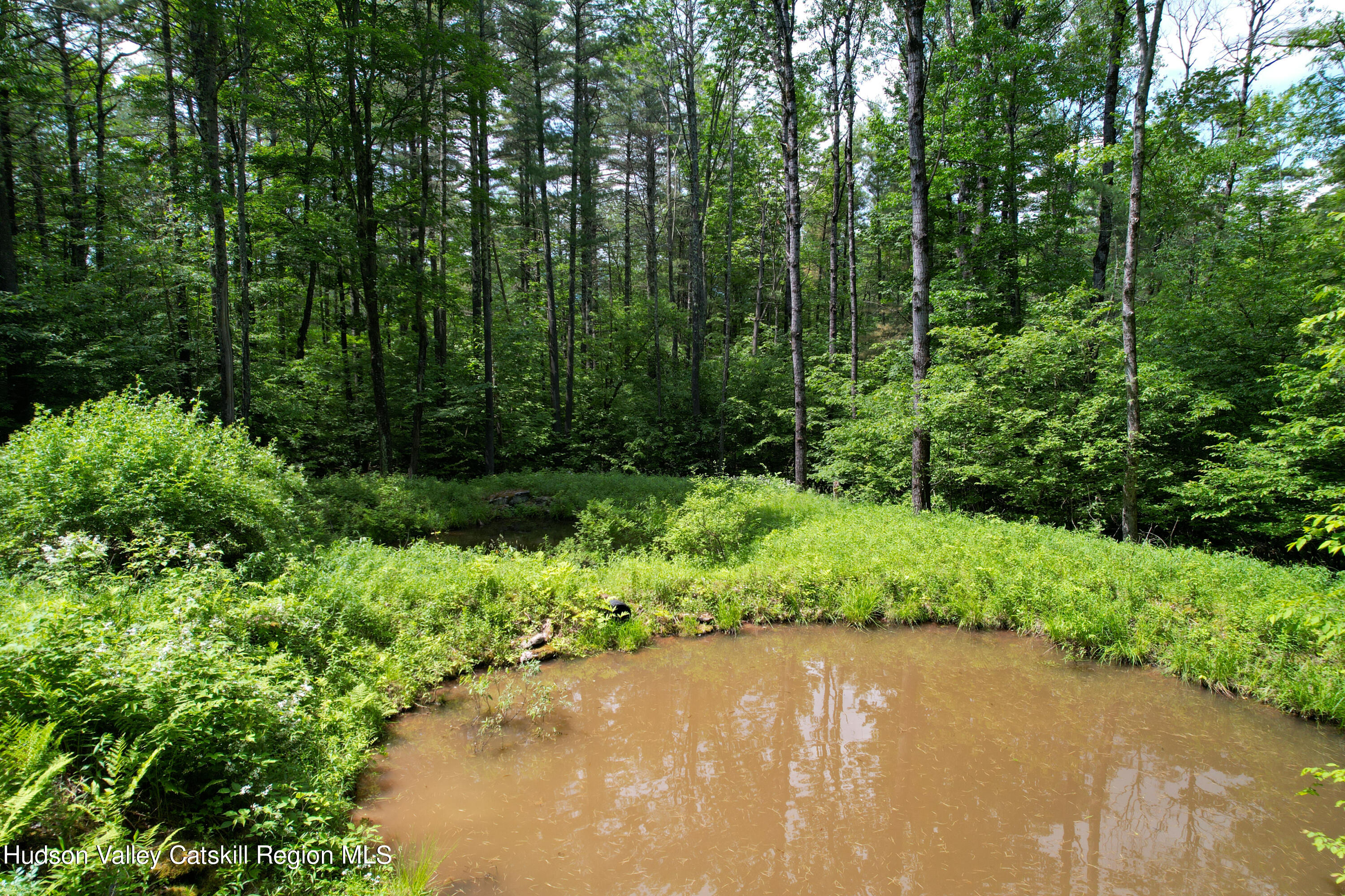 1604 Spruceton Road West Kill, NY 12492 - Photo 3 of 17 a view of a garden with plants and a bench