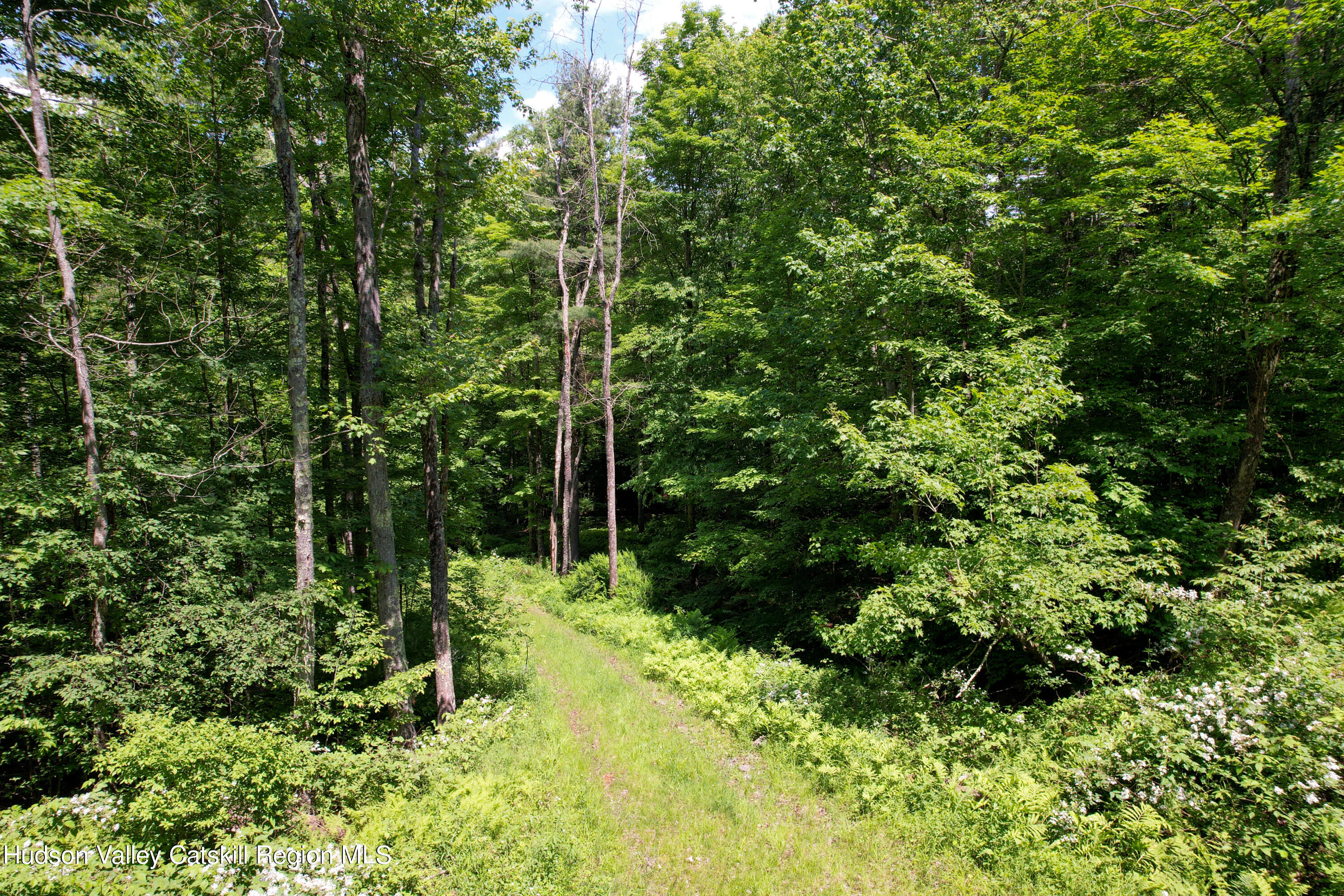 1604 Spruceton Road West Kill, NY 12492 - Photo 3 of 17 a view of a garden