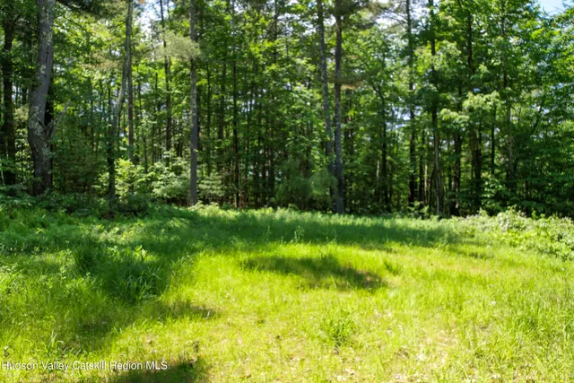 a view of swimming pool from a yard