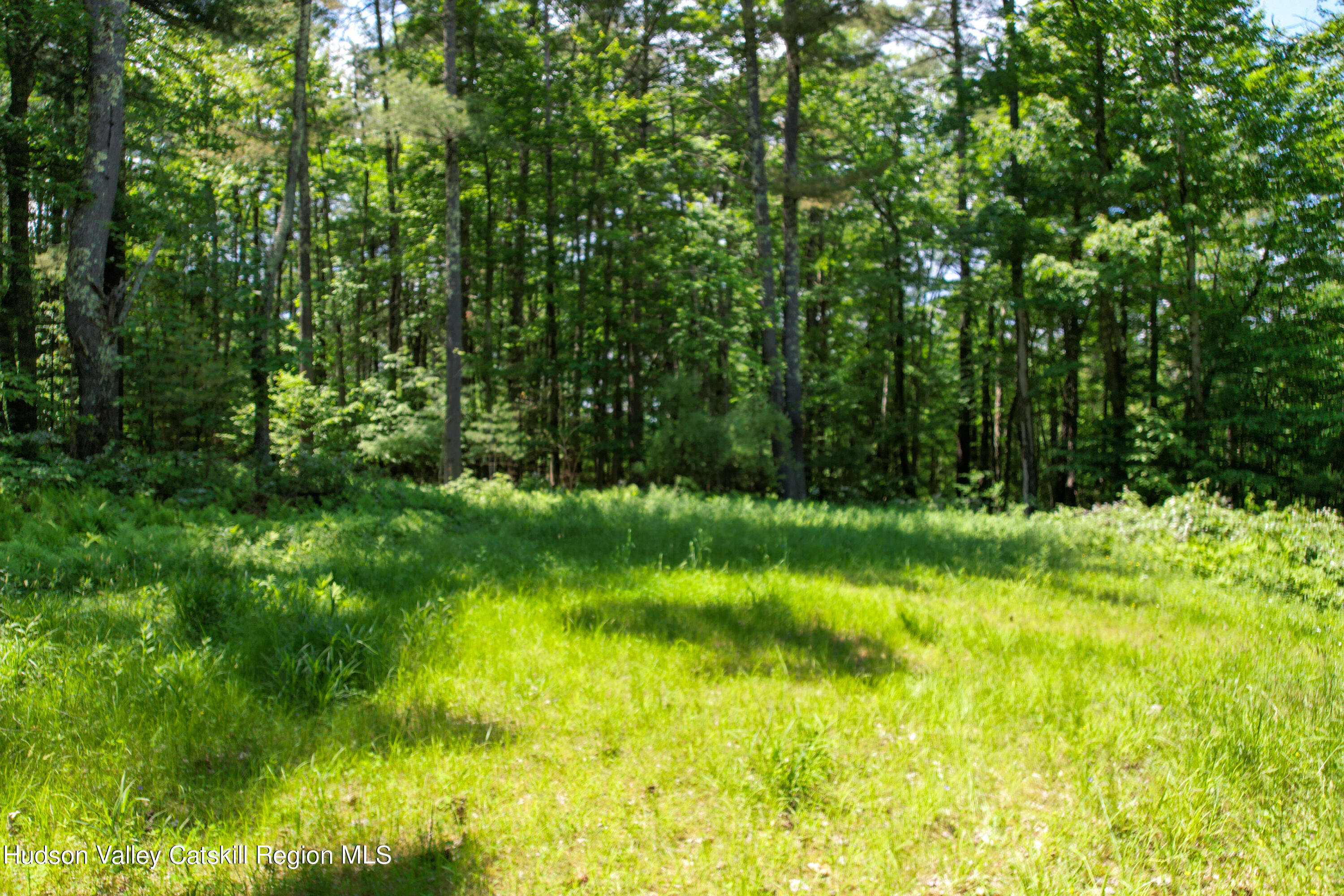 1604 Spruceton Road West Kill, NY 12492 - Photo 5 of 17 a view of swimming pool from a yard