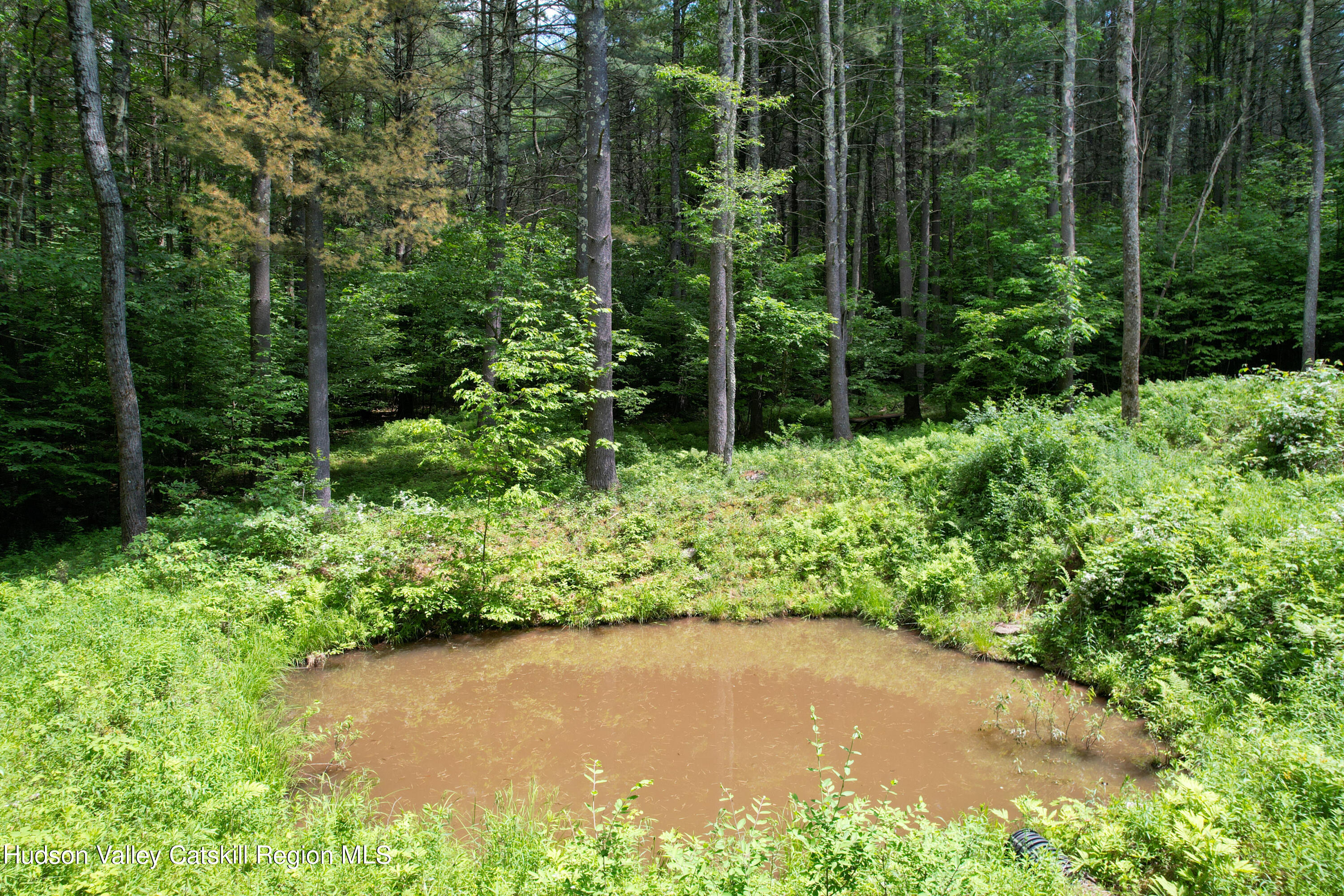 1604 Spruceton Road West Kill, NY 12492 - Photo 6 of 17 a view of a garden with plants