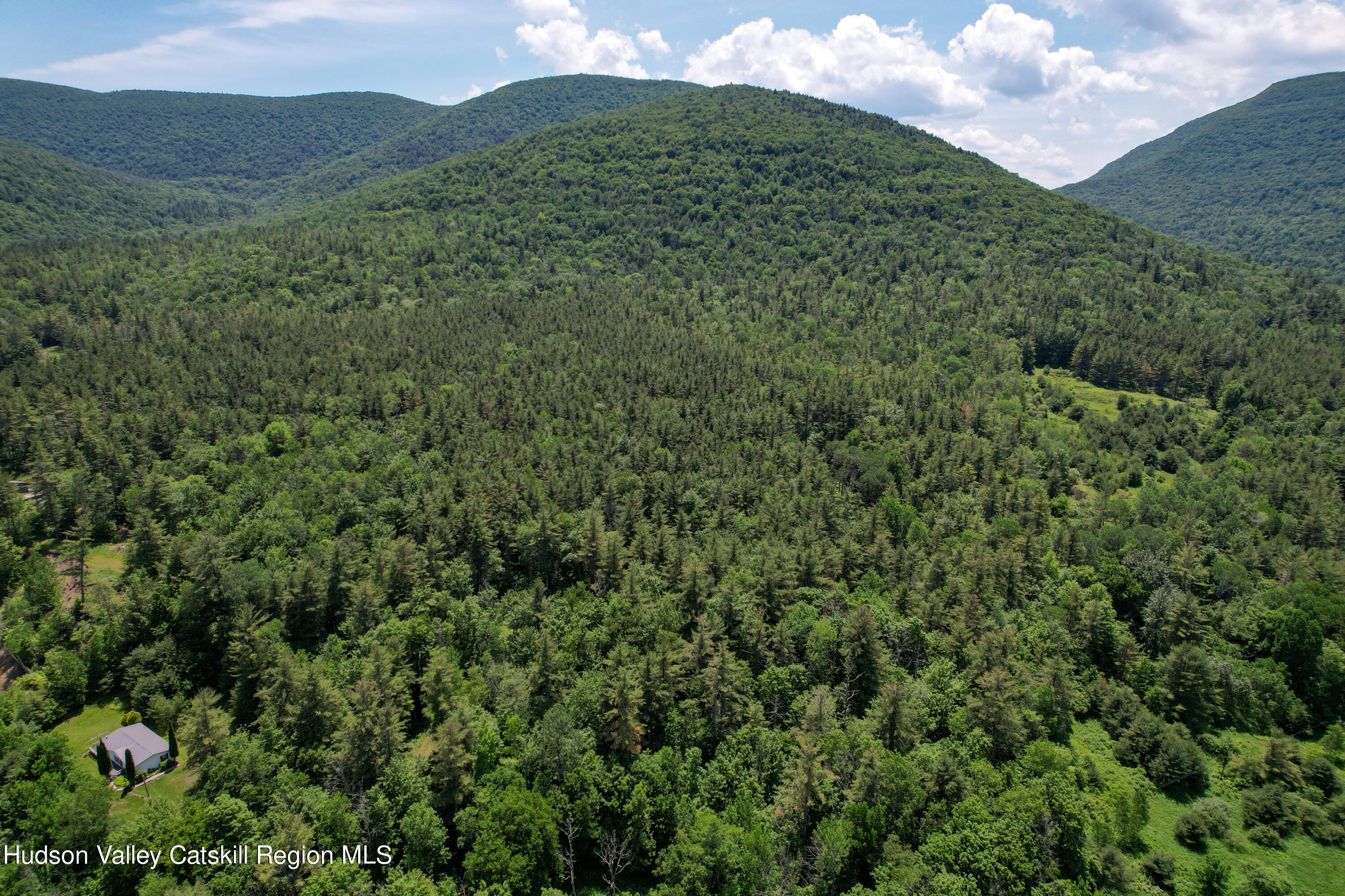 1604 Spruceton Road West Kill, NY 12492 - Photo 7 of 17 a view of a mountain in the distance in a field