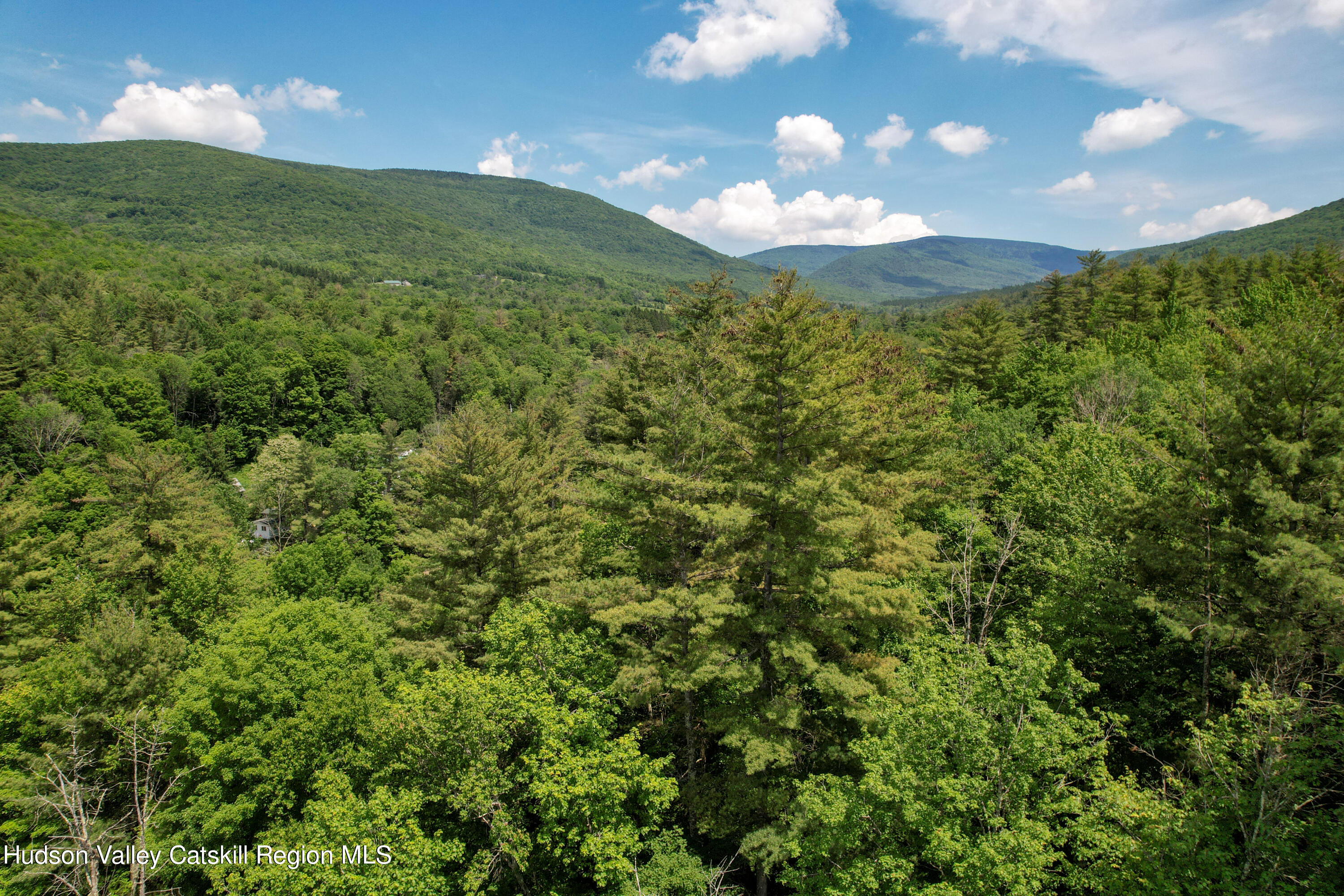 1604 Spruceton Road West Kill, NY 12492 - Photo 8 of 17 a view of a big yard of the house with green space