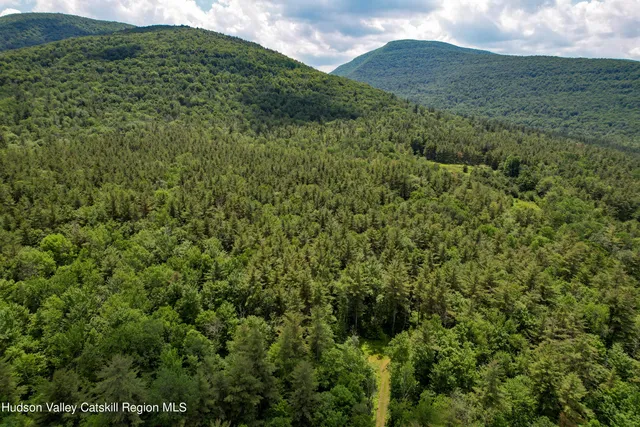 a view of a green field with lots of bushes