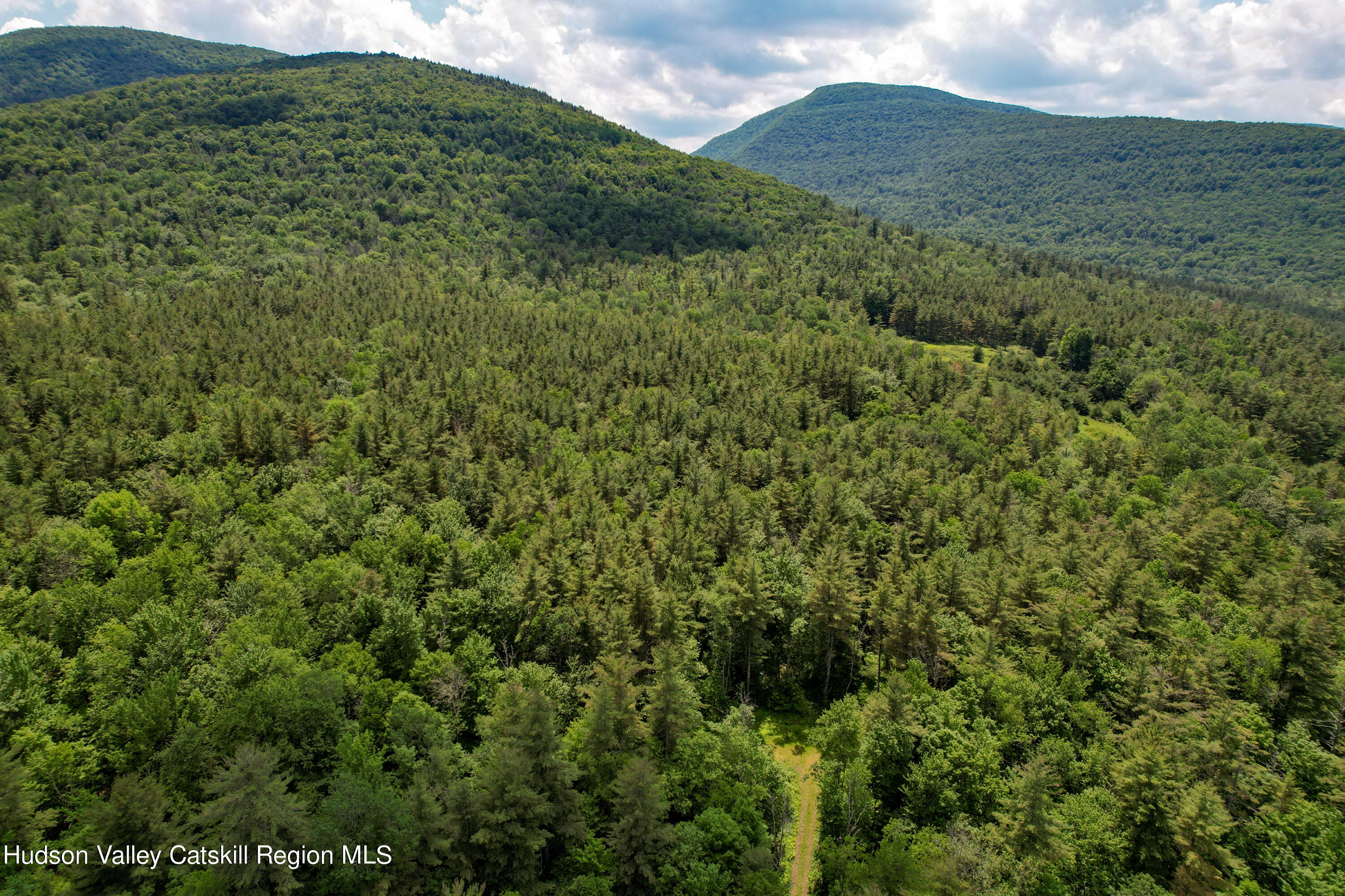 1604 Spruceton Road West Kill, NY 12492 - Photo 9 of 17 a view of a green field with lots of bushes