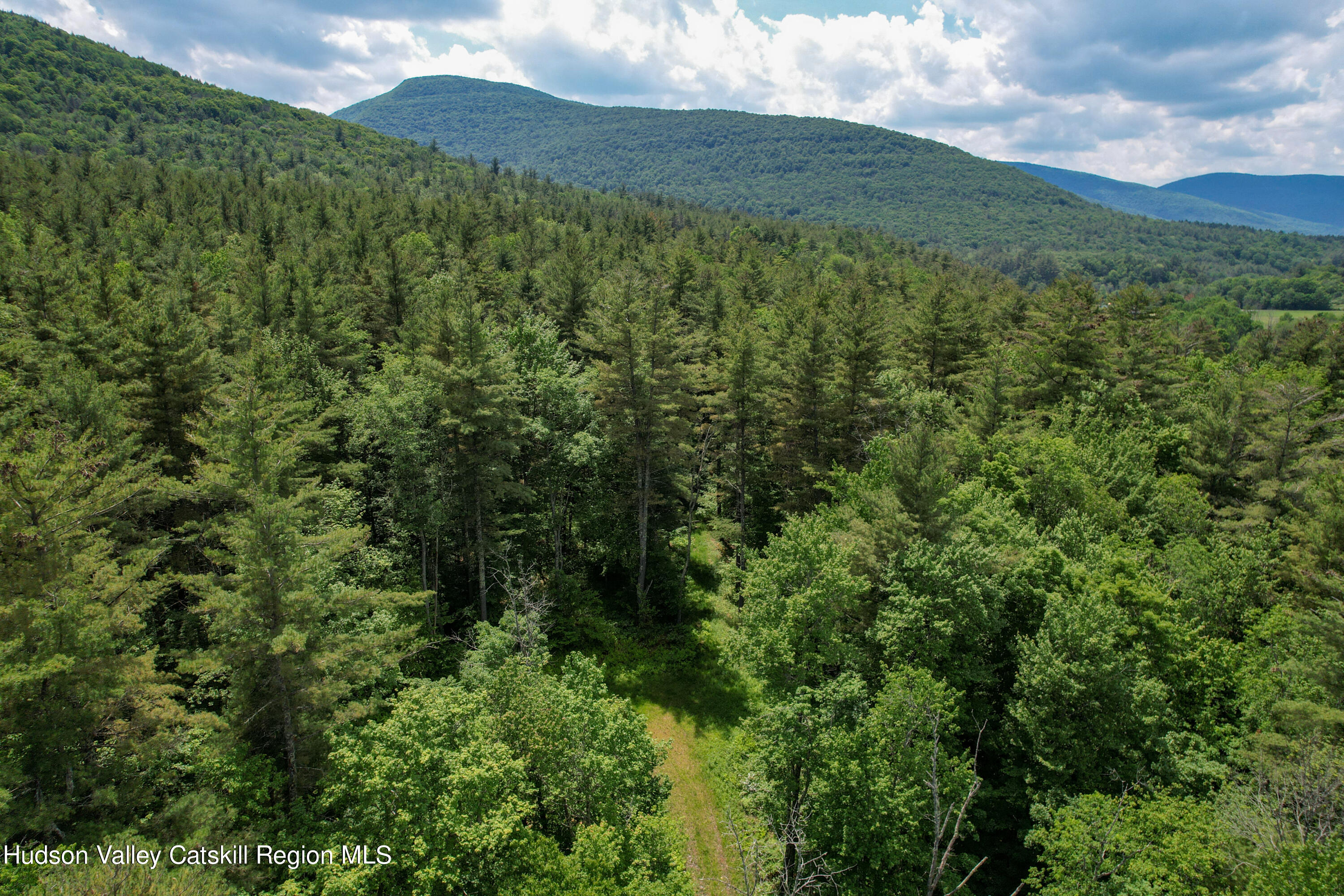 1604 Spruceton Road West Kill, NY 12492 - Photo 10 of 17 a view of a lush green forest with a mountain in the background