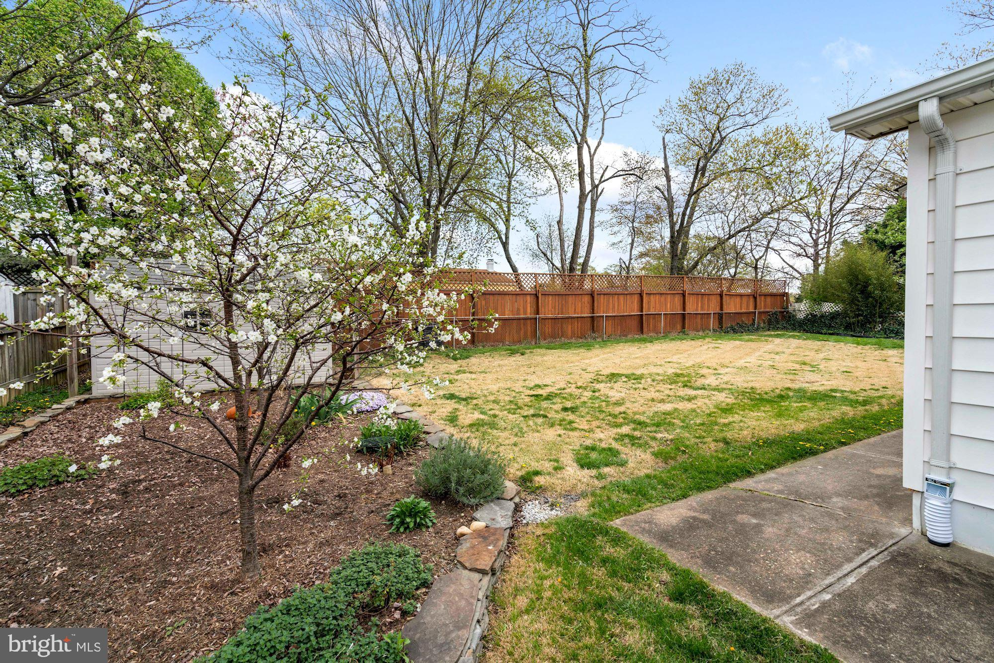 6111 Pinto Place Springfield, VA 22150 - Photo 32 of 35 Fenced back yard with fruit plants and herbs.