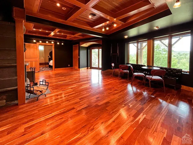 a living room with furniture and a rug