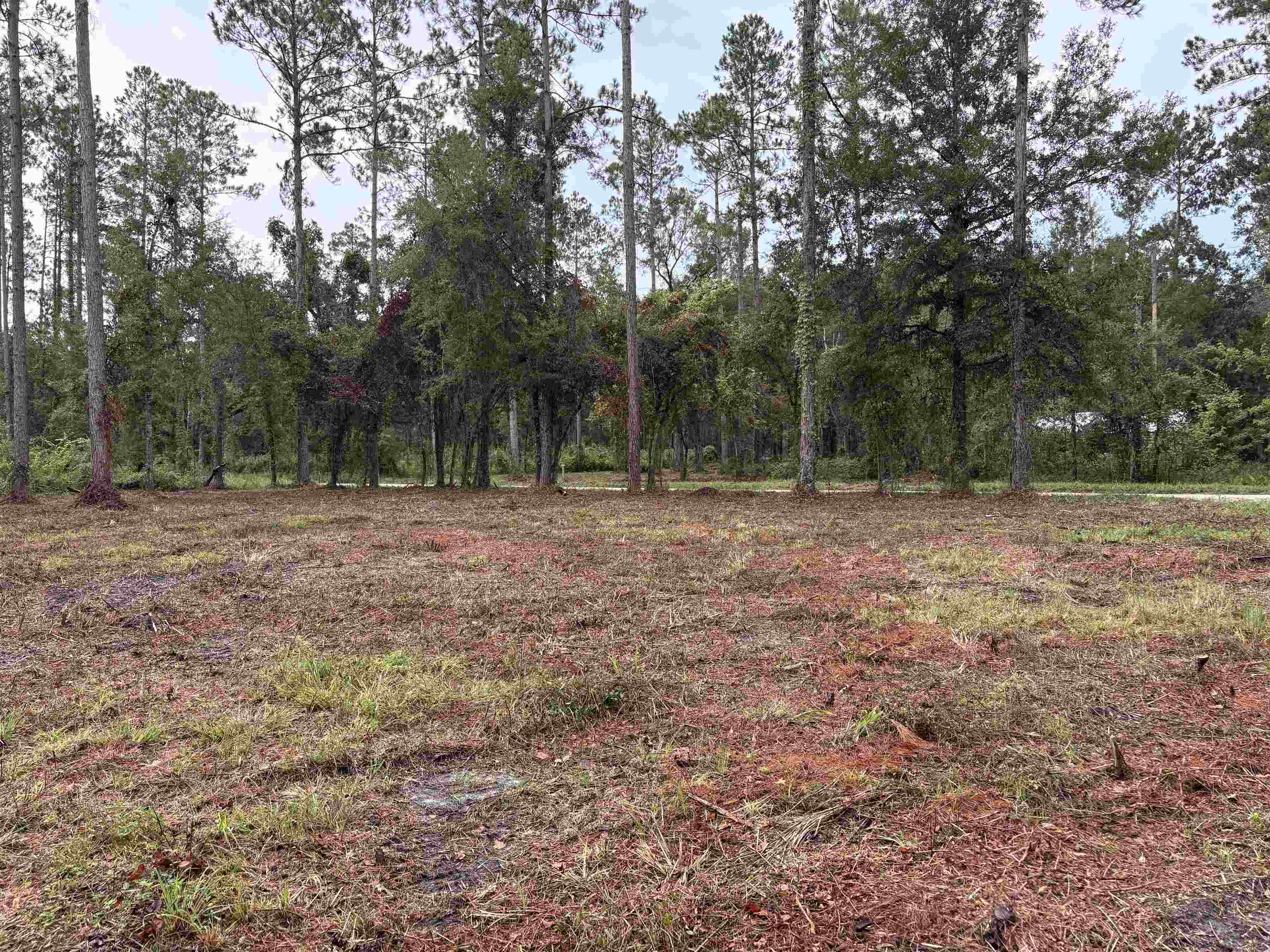0 Walker Springs Road Monticello, FL 32344 - Photo 2 of 21 Gallery Image 2