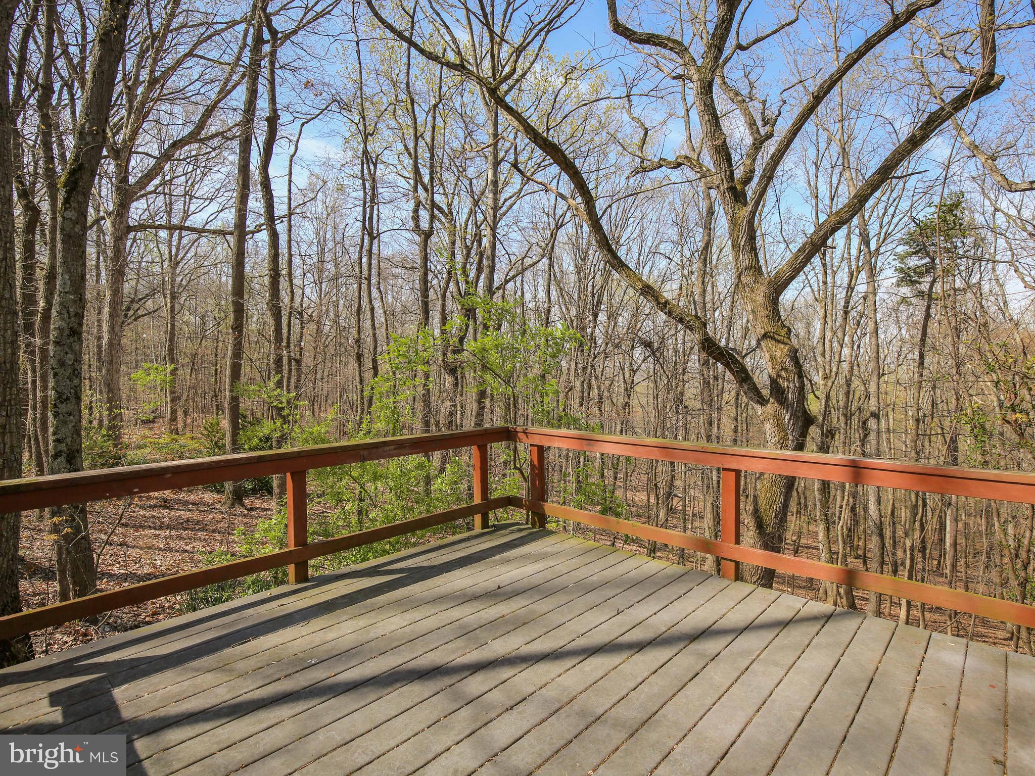 183 John Brown Farm Road Harpers Ferry, WV 25425 - Photo 12 of 41 back deck with view of trees and total privacy