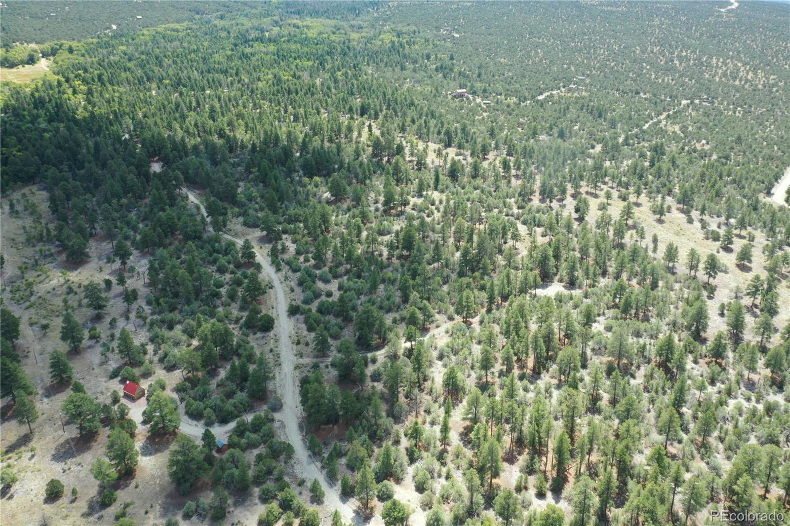 Pawnee Place Mosca, CO 81146 - Photo 2 of 10 a view of a house with a lush green forest