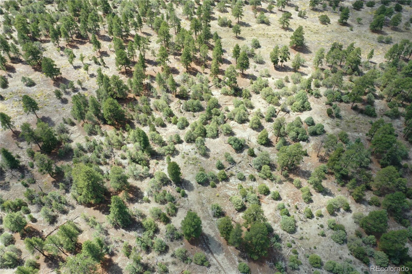 Pawnee Place Mosca, CO 81146 - Photo 3 of 10 a view of a big yard