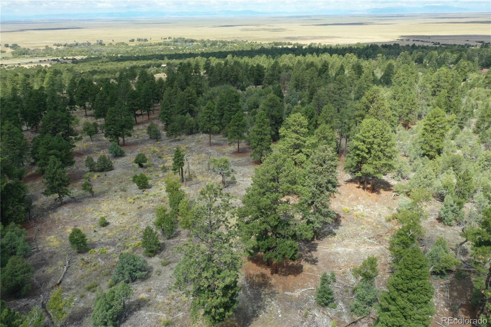 Pawnee Place Mosca, CO 81146 - Photo 4 of 10 a view of a forest with a lake