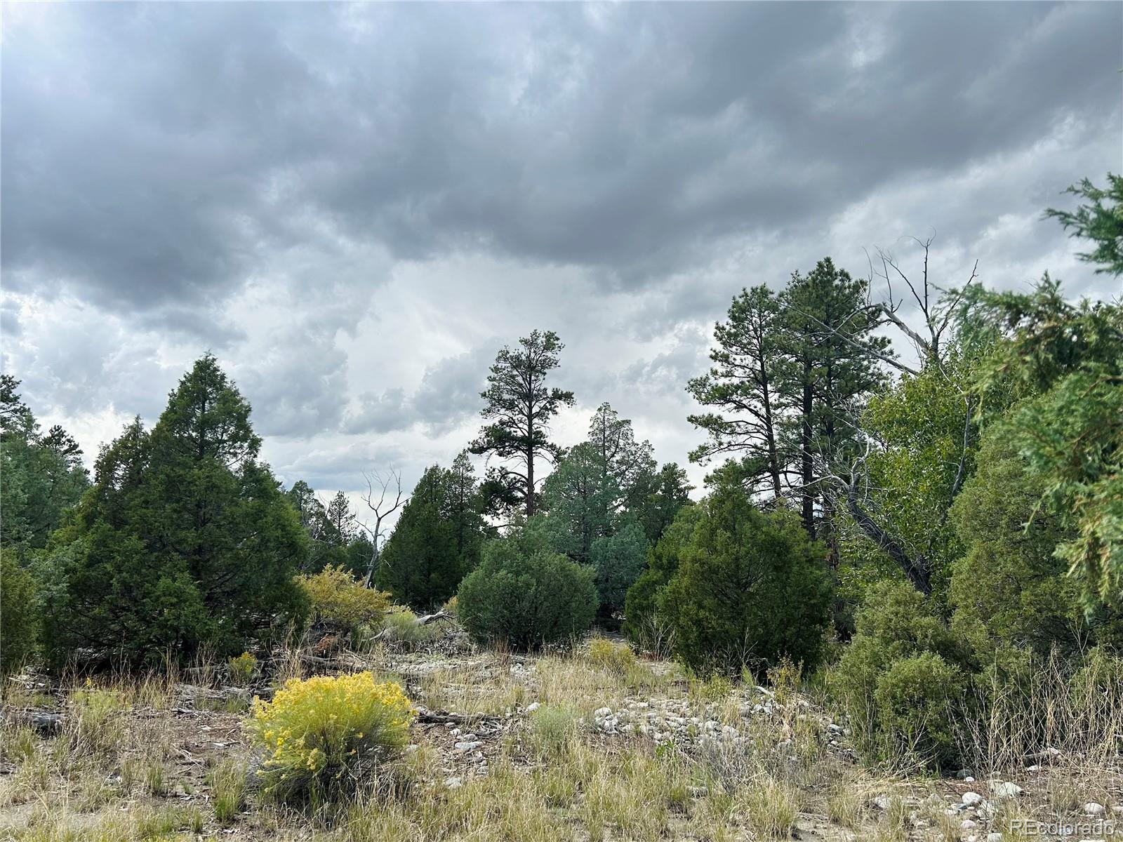 Pawnee Place Mosca, CO 81146 - Photo 5 of 10 a view of outdoor space and trees all around