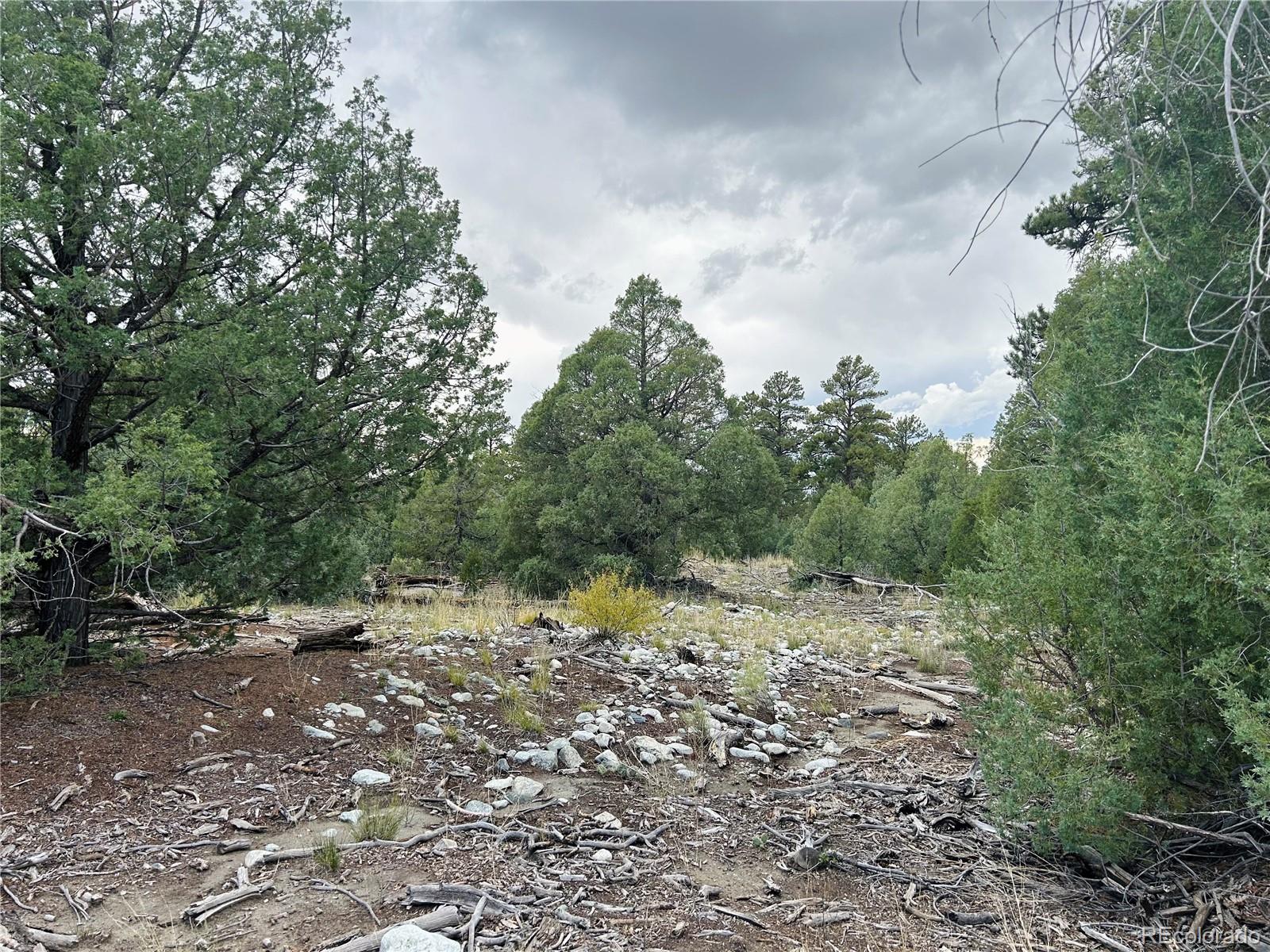 Pawnee Place Mosca, CO 81146 - Photo 6 of 10 a big yard with lots of green space