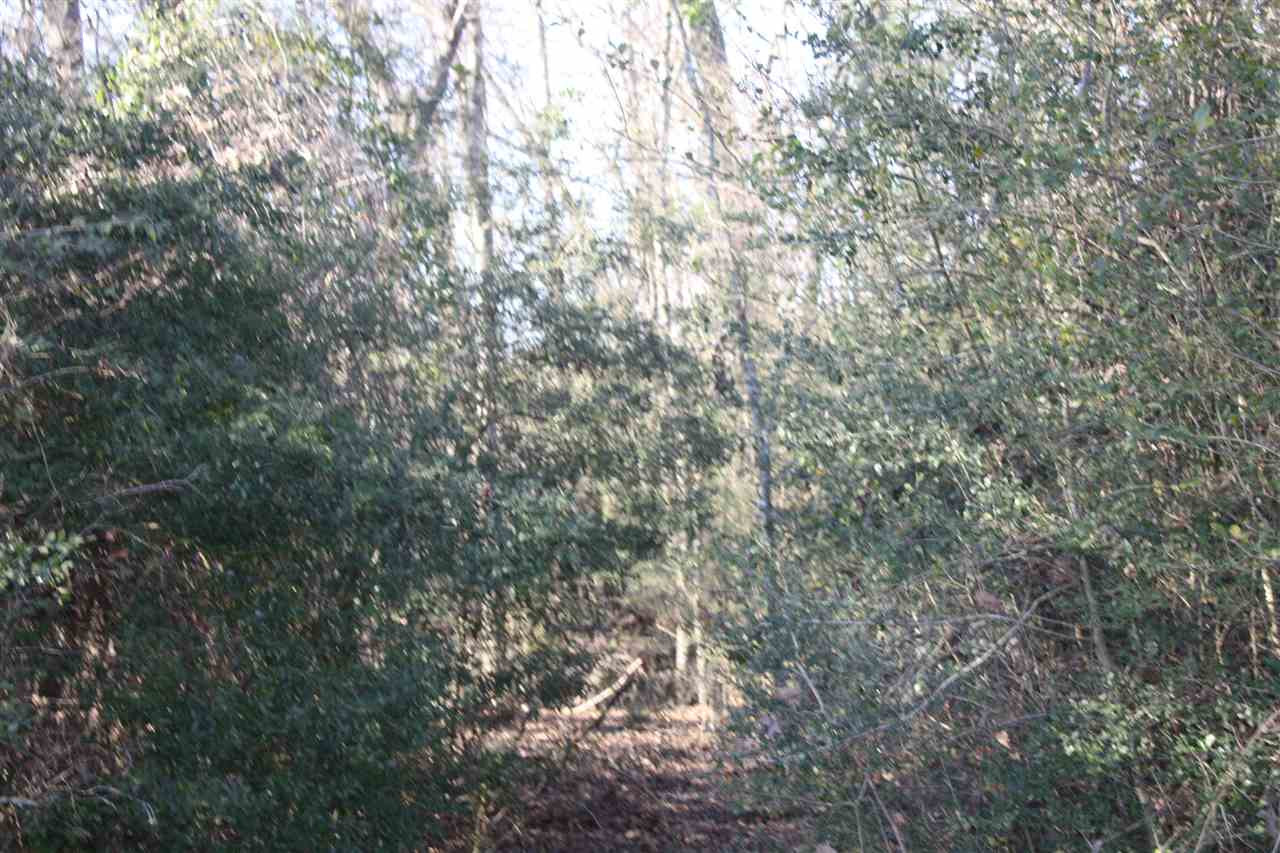 401 Golf Course Road Mendenhall, MS 39114 - Photo 38 of 38 Photo 50