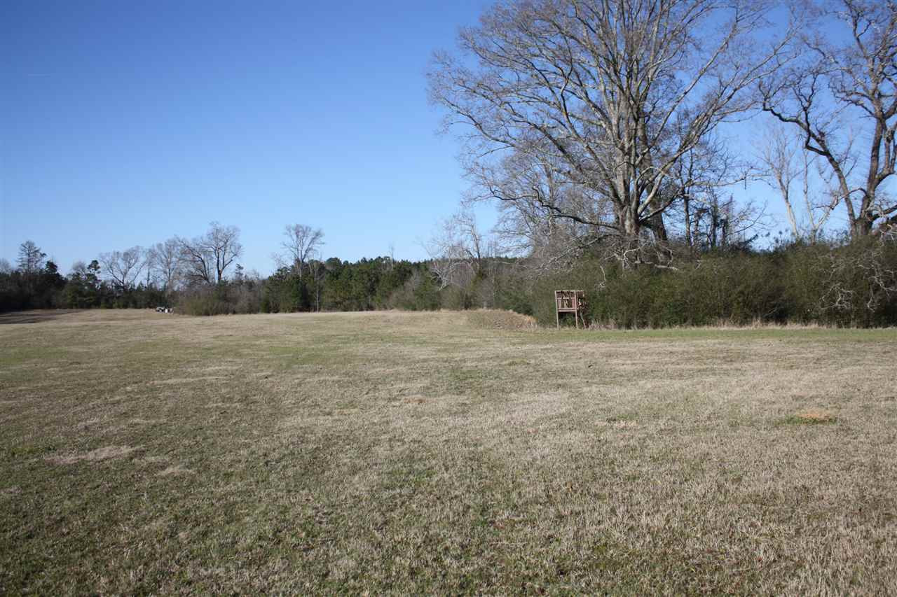 401 Golf Course Road Mendenhall, MS 39114 - Photo 7 of 38 Photo 7