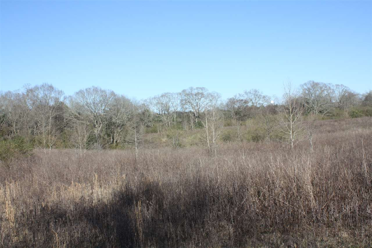401 Golf Course Road Mendenhall, MS 39114 - Photo 8 of 38 Photo 8