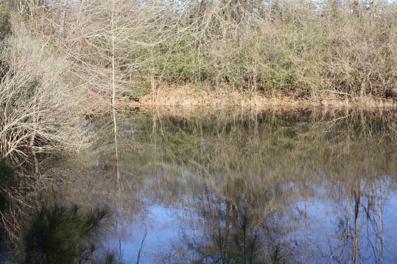 401 Golf Course Road Mendenhall, MS 39114 - Photo 10 of 38 Photo 10