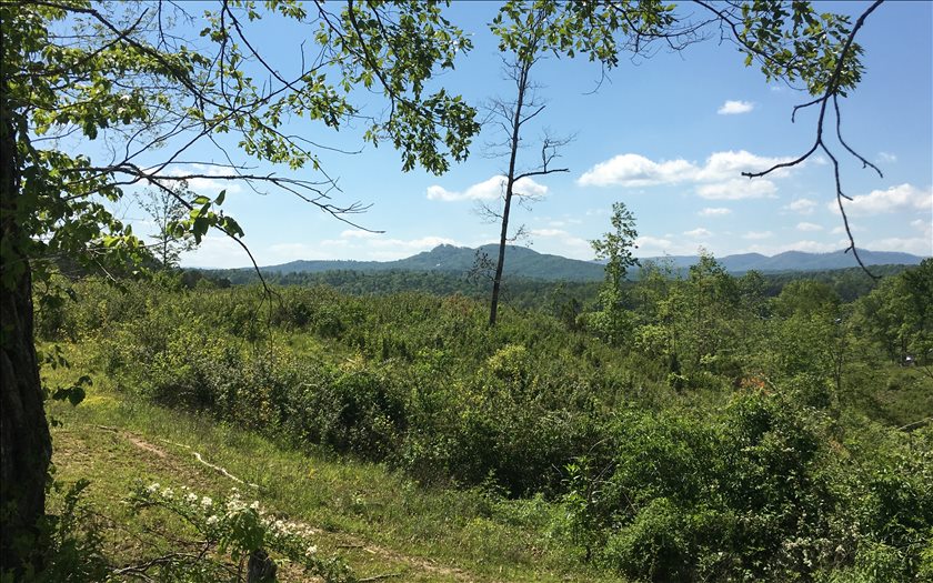 Old Ridge Road Mineral Bluff, GA 30559 - Photo 1 of 1 Main View