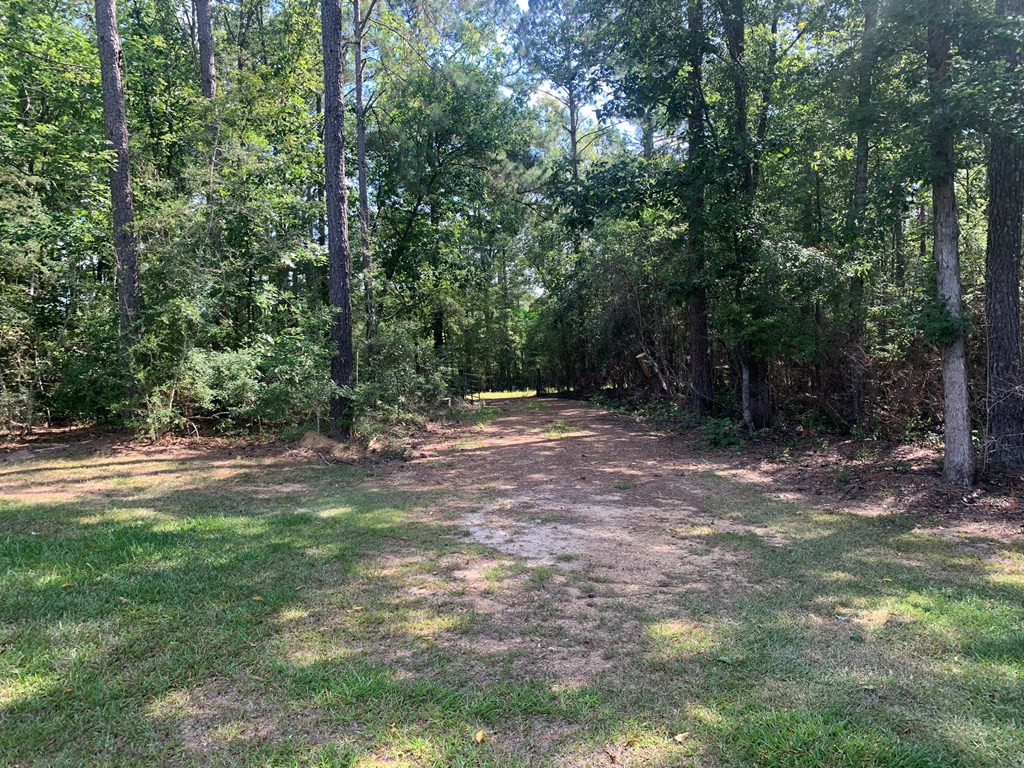 985 Harold Alford Road Osyka, MS 39657 - Photo 12 of 50 Photo 12