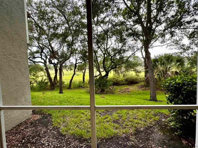 a view of a park with large trees