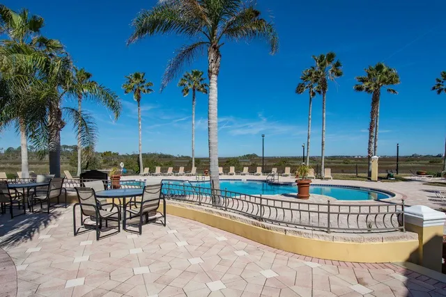 a view of a swimming pool with a lawn chairs and palm tree