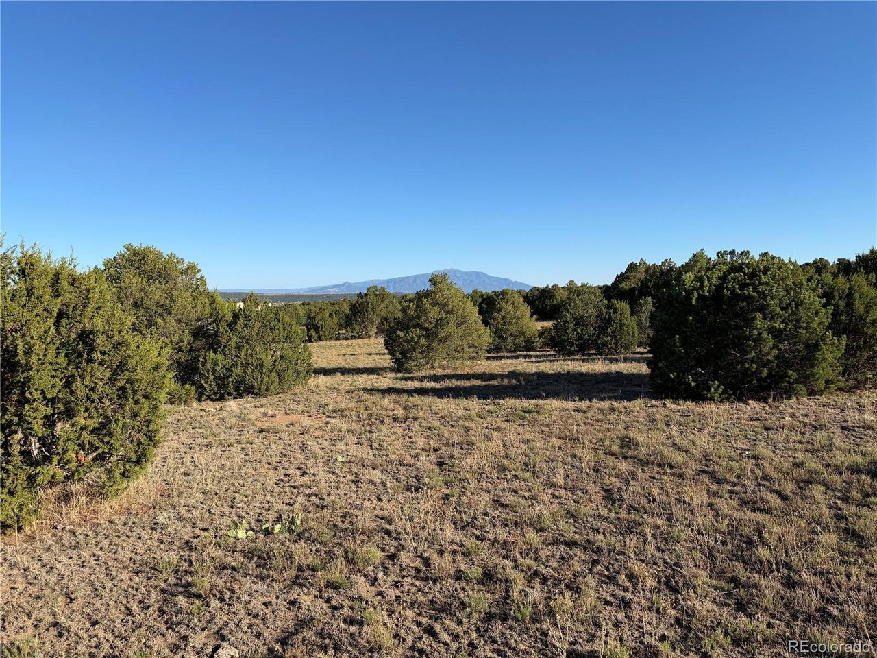 141 River Ridge Trail Walsenburg, CO 81089 - Photo 19 of 28 Gallery Image 19