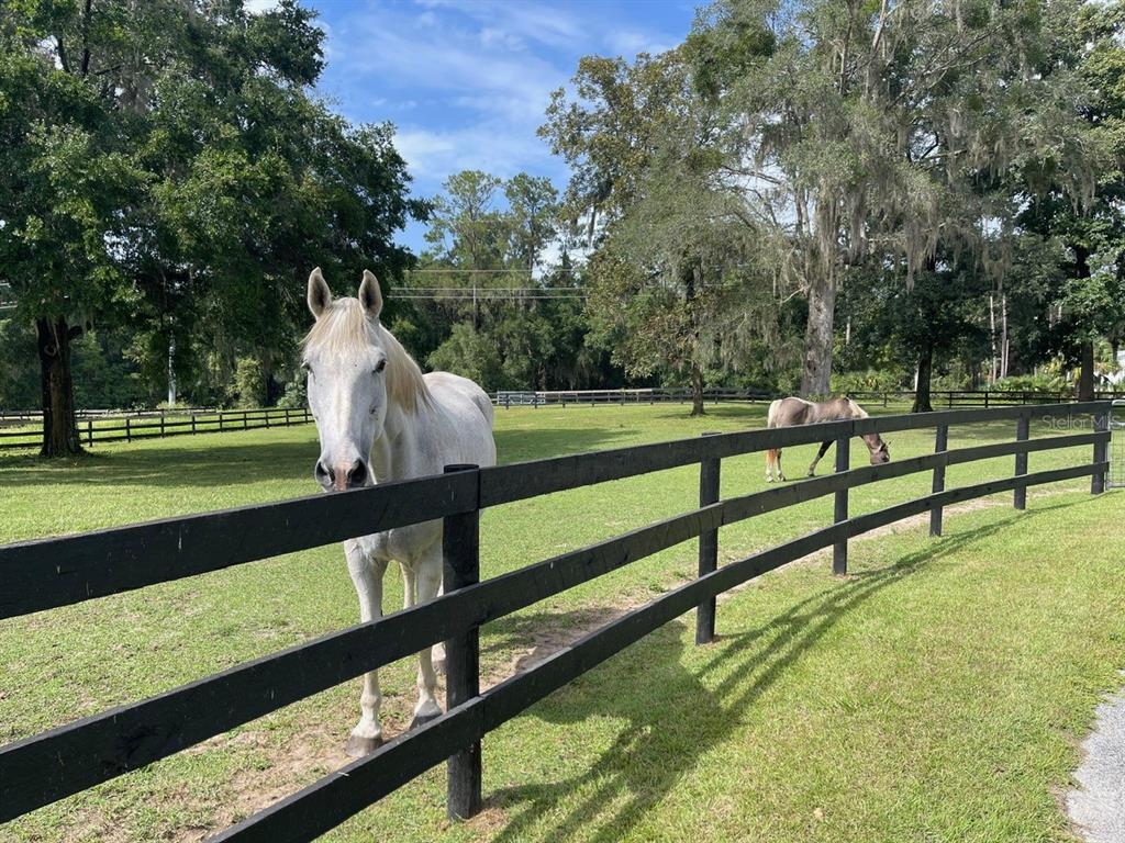 2309 Southwest 66th Street Ocala, FL 34476 - Photo 13 of 35 a view of a bench in the garden