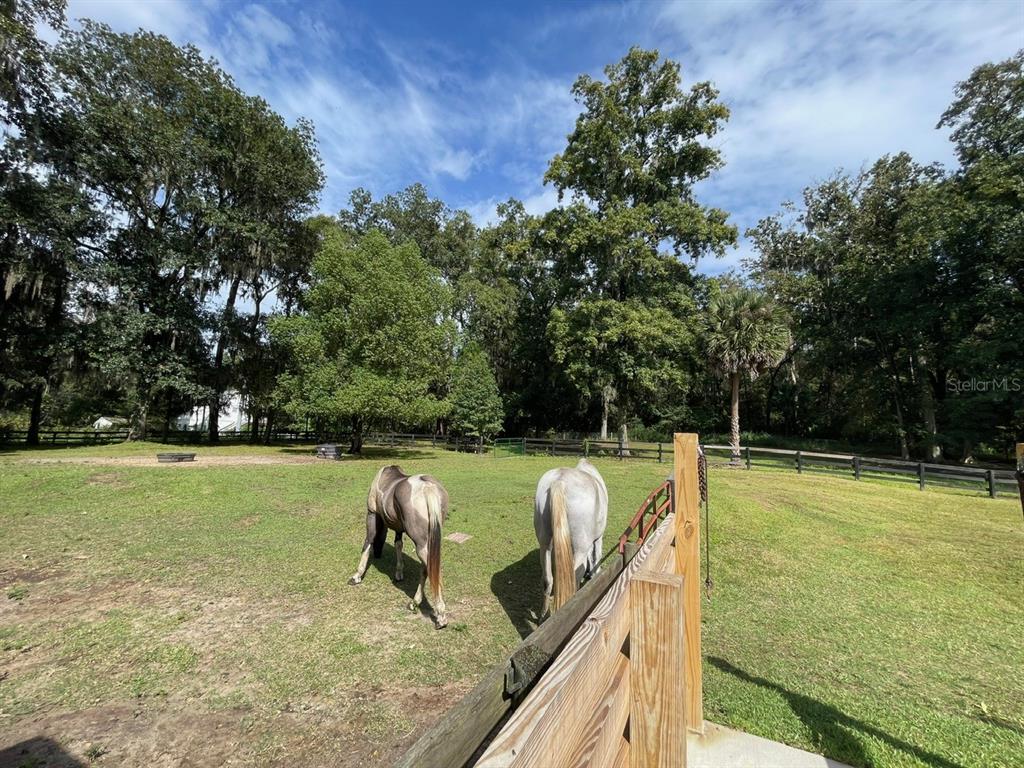 2309 Southwest 66th Street Ocala, FL 34476 - Photo 27 of 35 a view of a swimming pool with a patio and a yard