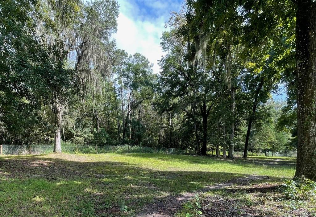 2309 Southwest 66th Street Ocala, FL 34476 - Photo 30 of 35 a view of a grassy field with trees
