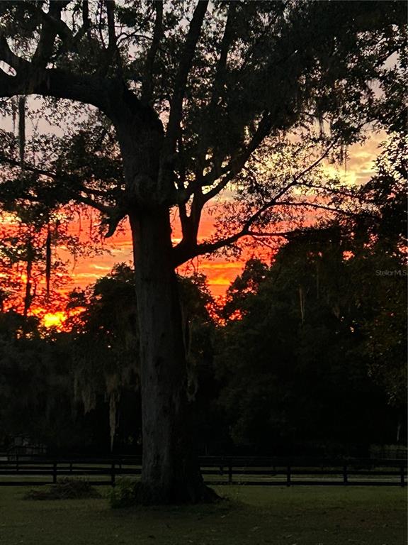 2309 Southwest 66th Street Ocala, FL 34476 - Photo 32 of 35 a view of outdoor space in green field