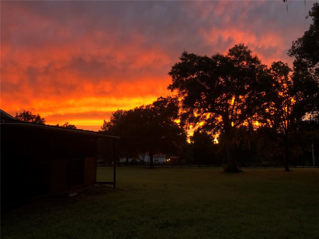 2309 Southwest 66th Street Ocala, FL 34476 - Photo 34 of 35 a view of outdoor space with mountain view