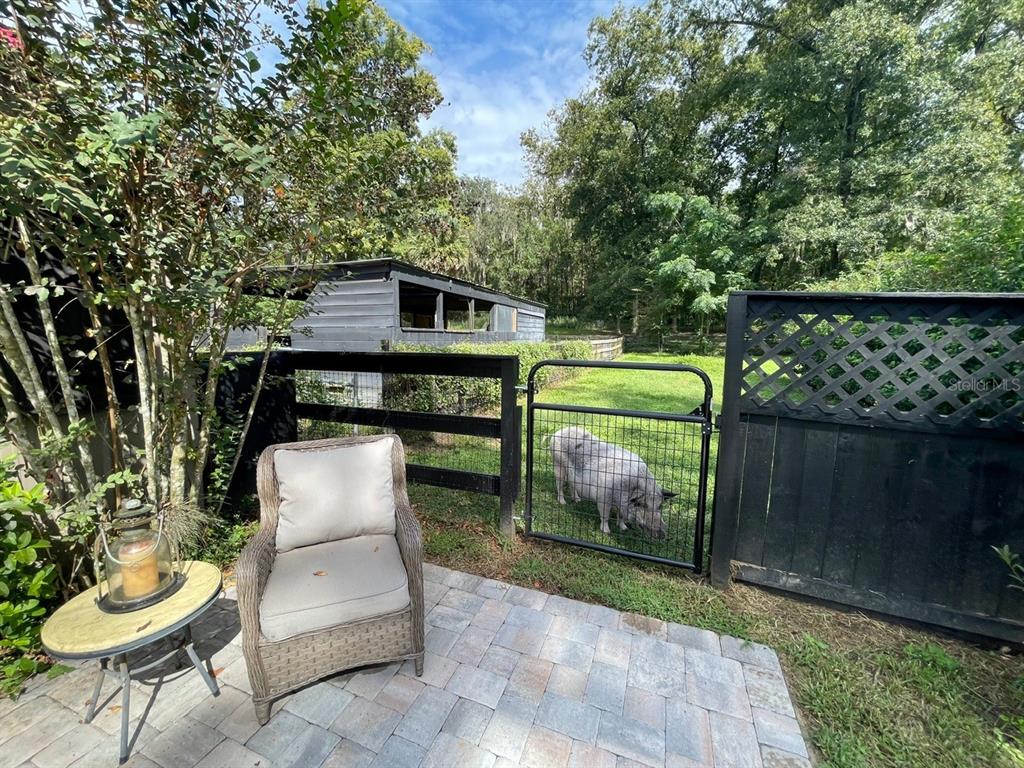 2309 Southwest 66th Street Ocala, FL 34476 - Photo 4 of 35 a backyard of a house with yard and outdoor seating