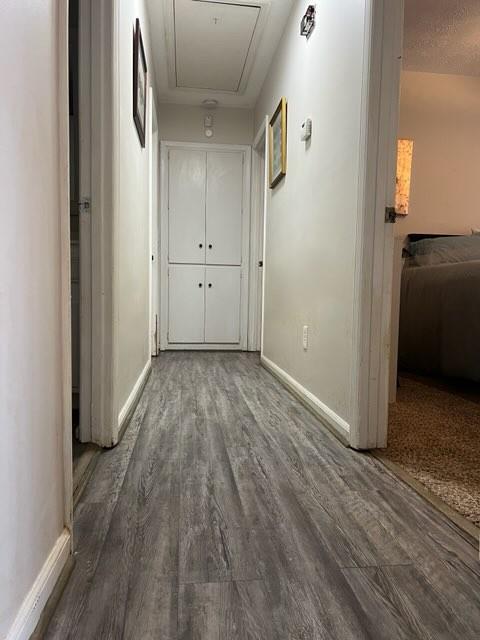 4405 Green Ridge Drive Columbus, GA 31909 - Photo 25 of 31 a view of a hallway with wooden floor and a bathroom