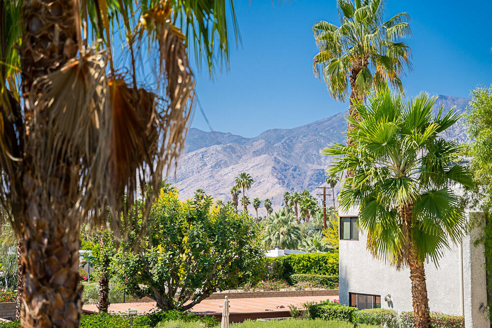 3155 Ramon Road, Unit 408 Palm Springs, CA 92264 - Photo 22 of 28 20220427-DSC00494-HDR