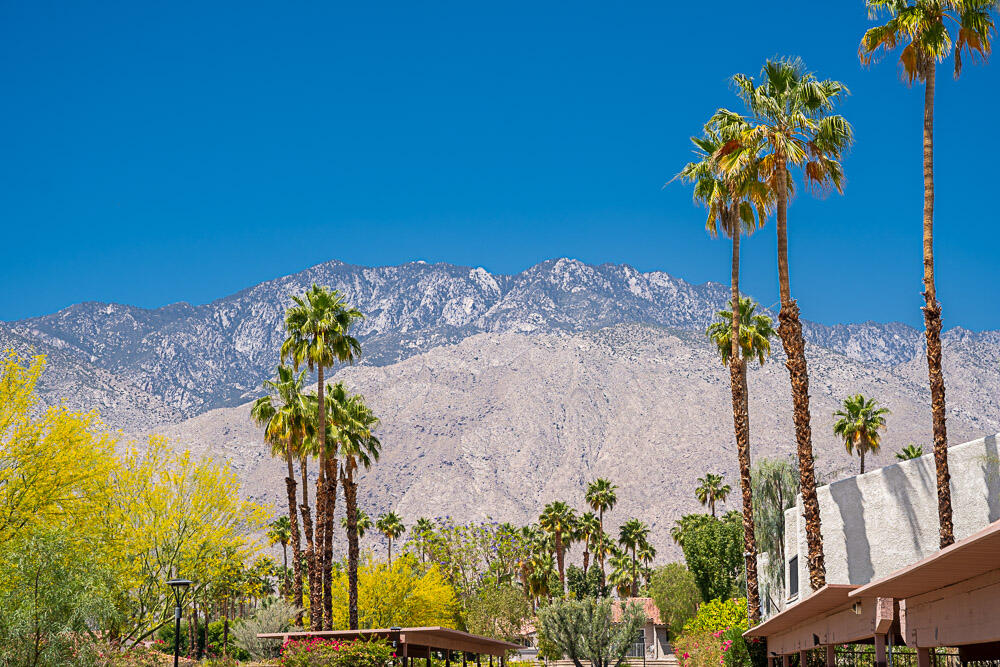 3155 Ramon Road, Unit 408 Palm Springs, CA 92264 - Photo 28 of 28 20220427-DSC00513-HDR