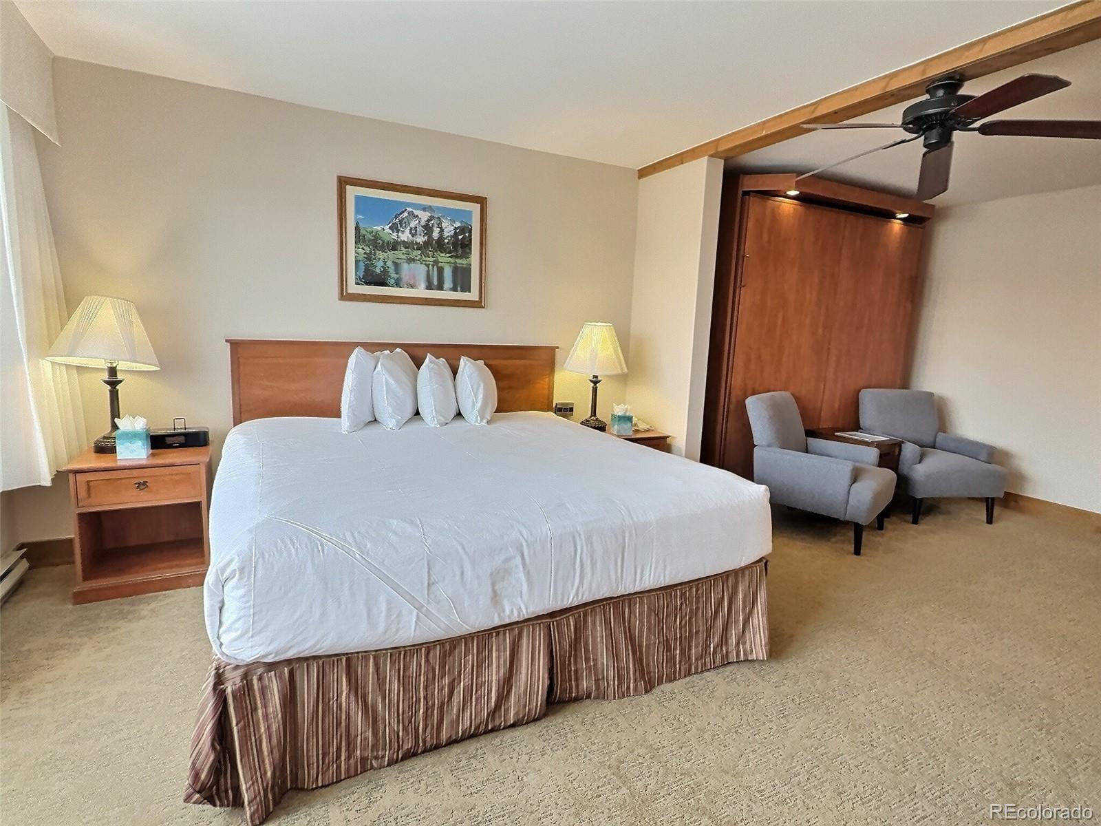 6 Emmons Road, Unit 518 Crested Butte, CO 81225 - Photo 6 of 13 Gallery Image 6