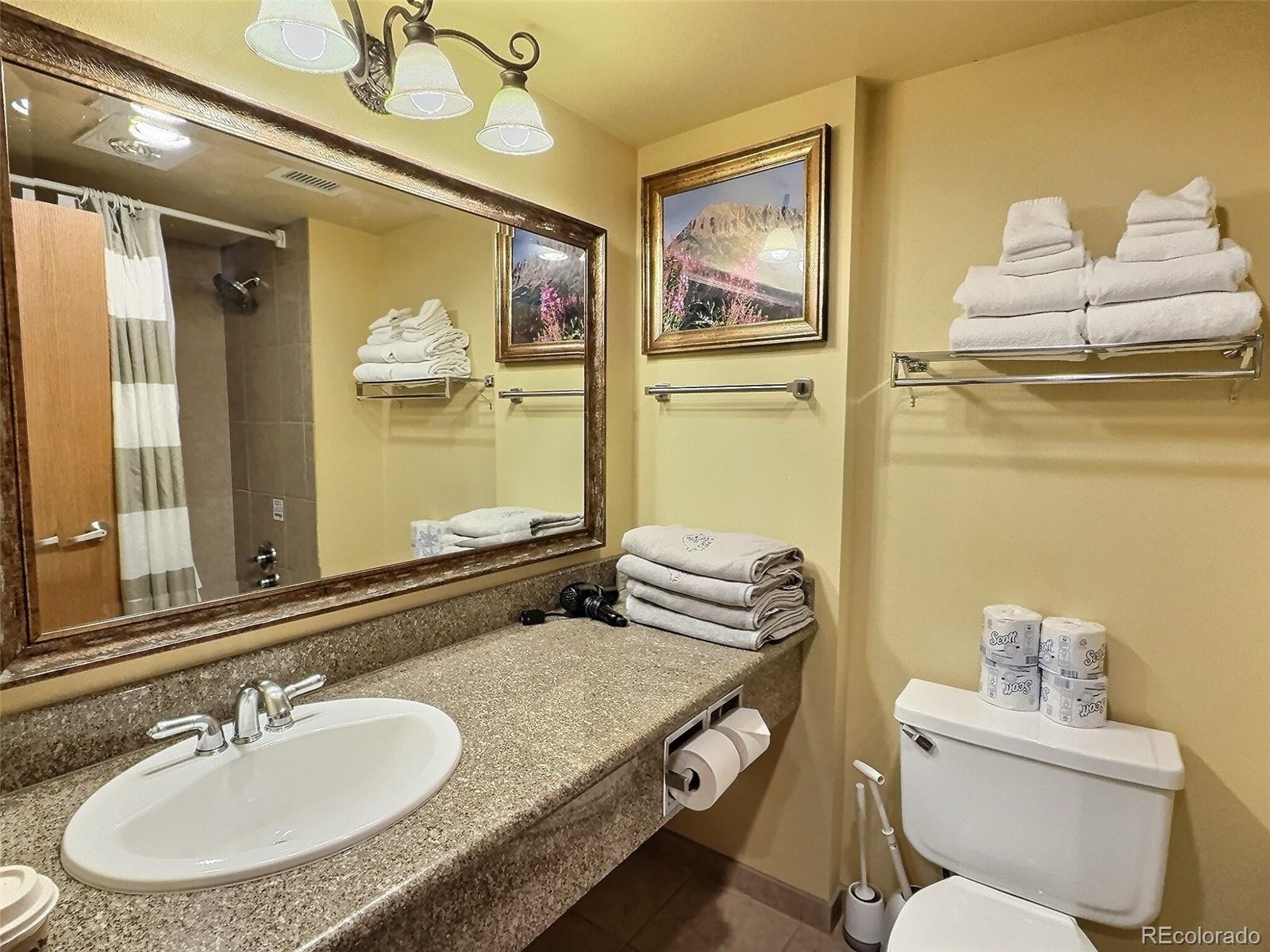 6 Emmons Road, Unit 518 Crested Butte, CO 81225 - Photo 8 of 13 Gallery Image 8