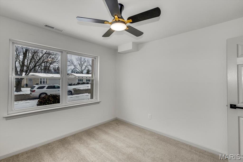 5376 Ville Rosa Lane Hazelwood, MO 63042 - Photo 34 of 41