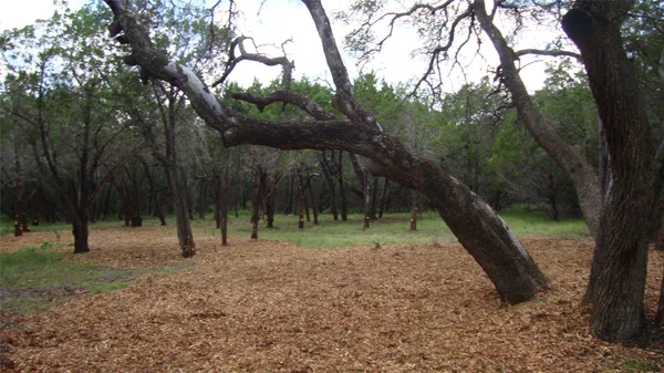 $49,900 | 36 Travis Oaks Drive, Marble Falls, TX 78654