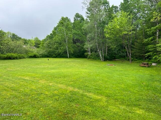 60A Tilda Hill Road Florida, MA 01247 - Photo 3 of 35 Back Yard