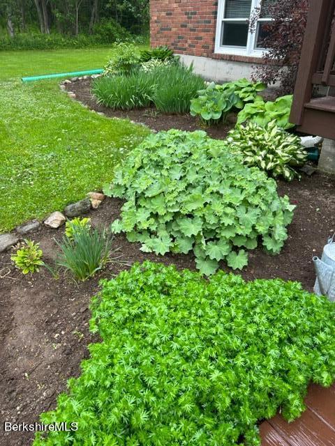 60A Tilda Hill Road Florida, MA 01247 - Photo 6 of 35 Garden