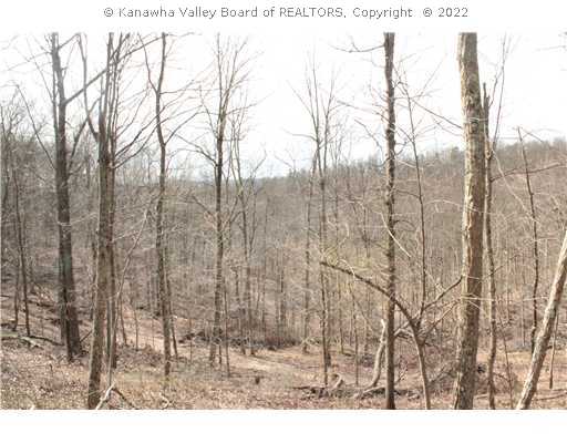 0 Round Knob Road Evans, WV 25241 - Photo 1 of 3 Land.