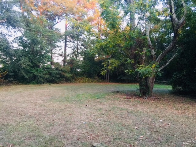 1132 Vanest Road Ridge Spring, SC 29129 - Photo 2 of 19