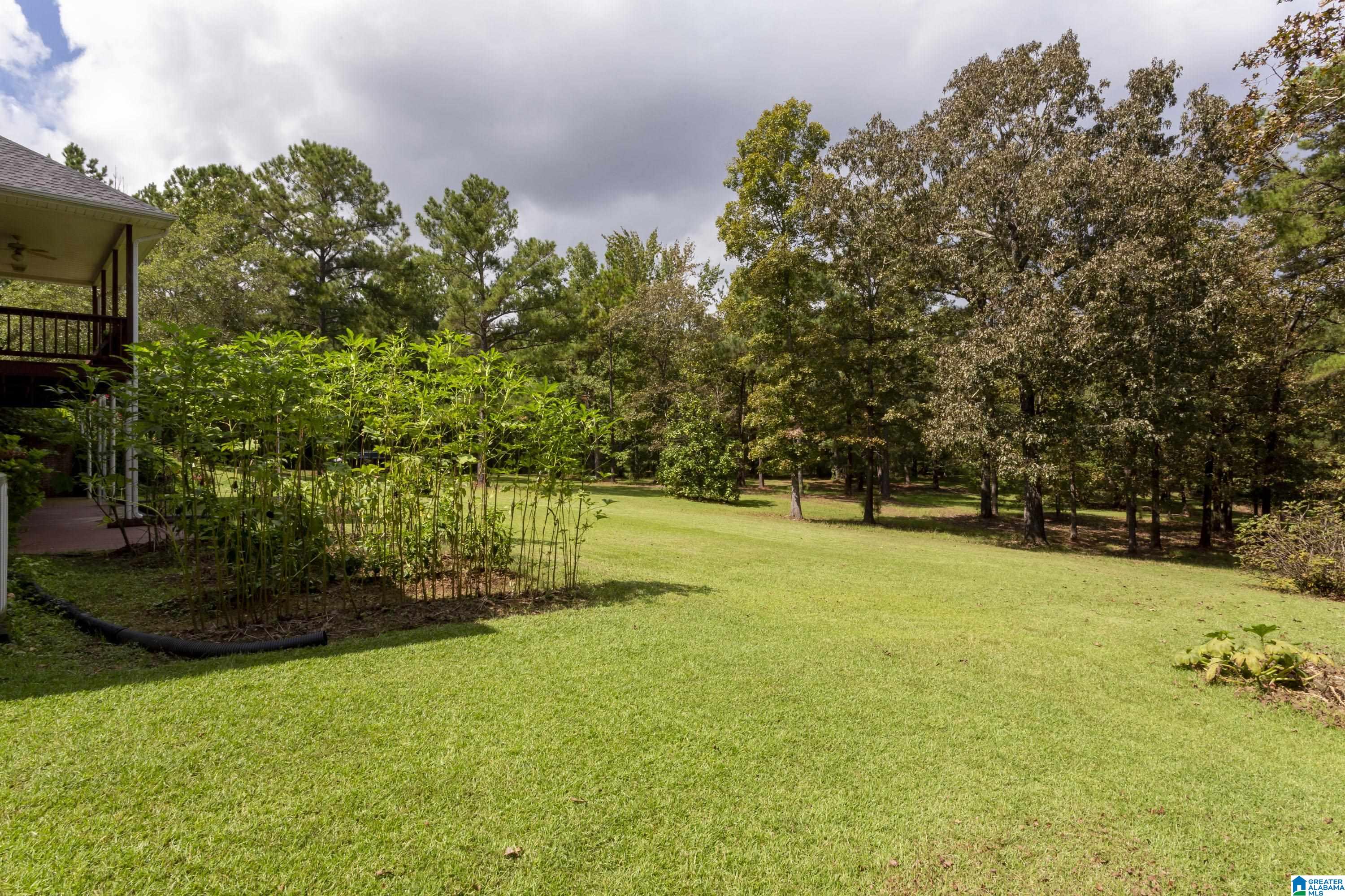 1475 County Road 42 Calera, AL 35040 - Photo 12 of 73