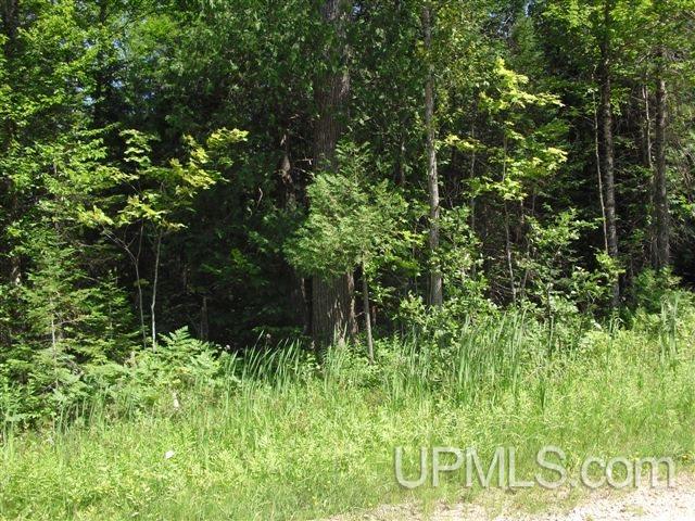 Tbd Tbd Co Road Chatham, MI 49816 - Photo 1 of 5