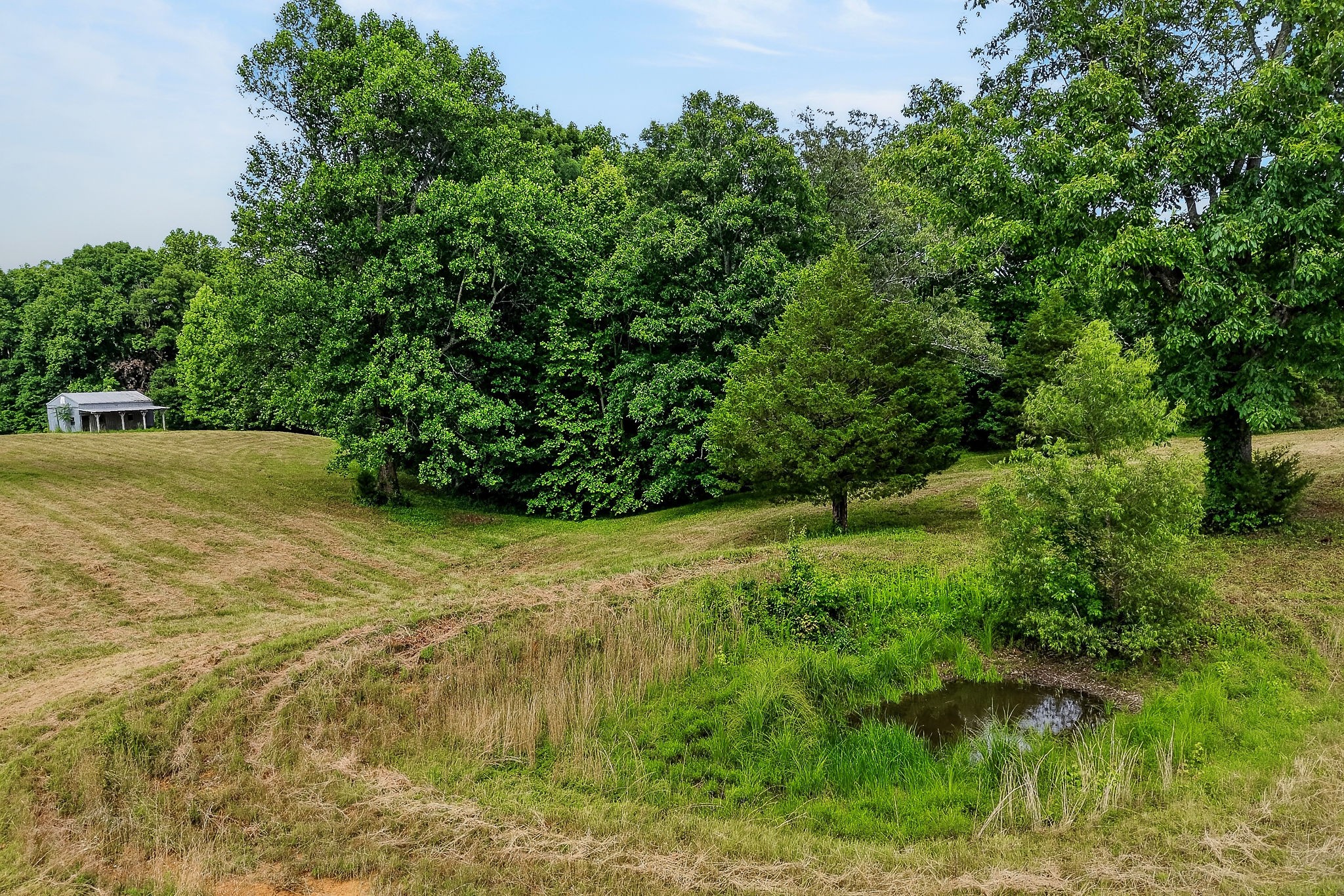 744 King Ridge Road Dowelltown, TN 37059 - Photo 2 of 13