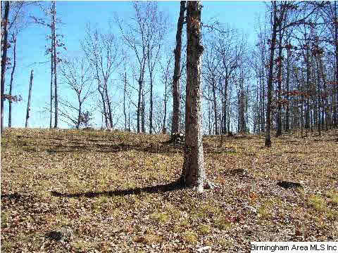 Sunset Strip Oneonta, AL 35121 - Photo 2 of 9 Gallery Image 2