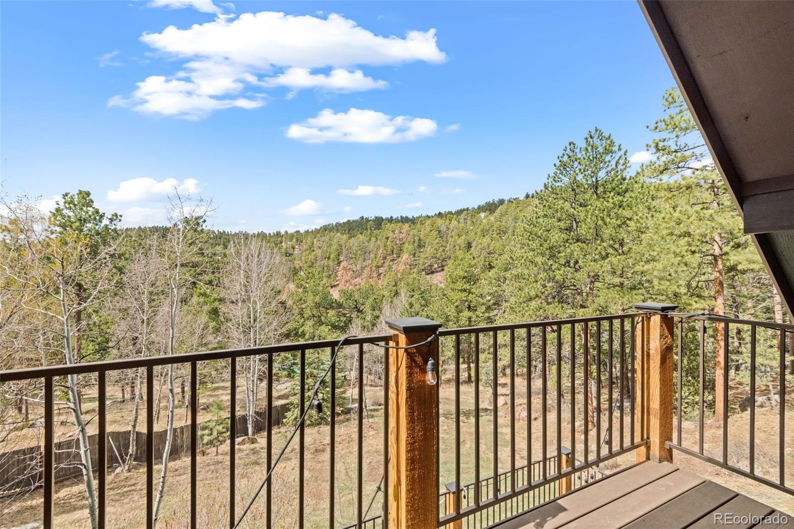 13609 Elsie Road Conifer, CO 80433 - Photo 26 of 48 Gallery Image 26